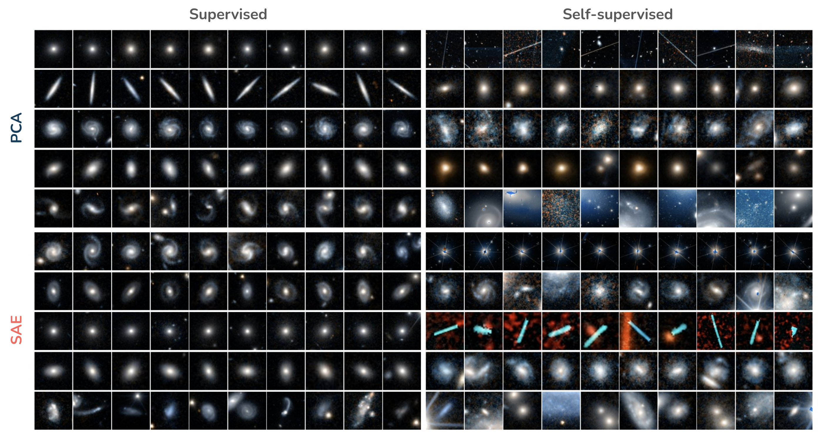 Figure 2 from Wu & Walmsley 2025, showing PCA (top) and SAE (bottom) features extracted from Zoobot (left) and MAE (right) model embeddings. Note that these two models are trained on different datasets.